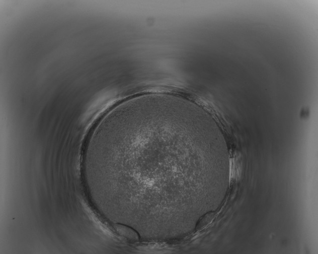 X0000089970243200707061206