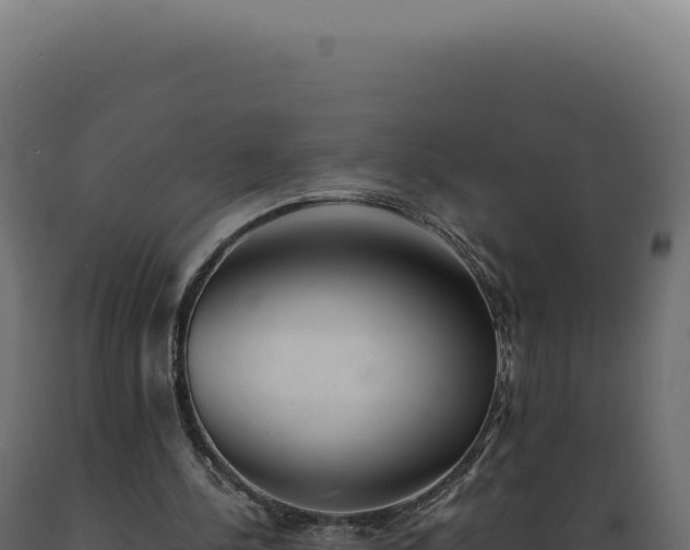 X0000089970244200707061206