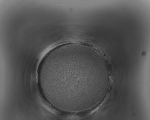 X0000089970246200707061206