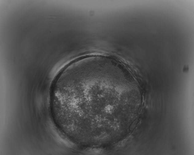X0000089970247200707061206