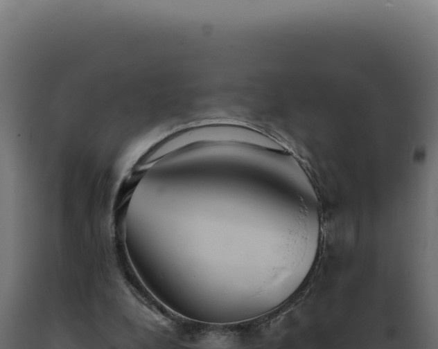 X0000089970248200707061206