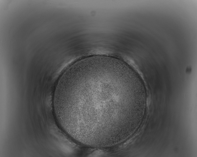 X0000089970249200707061206