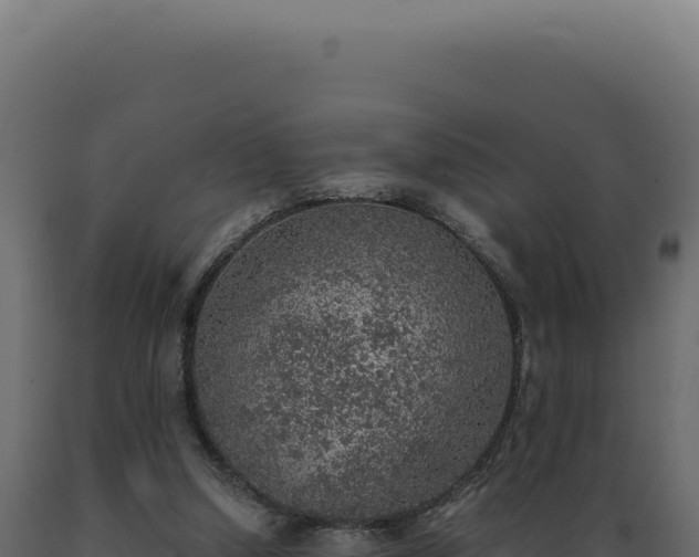 X0000089970250200707061206