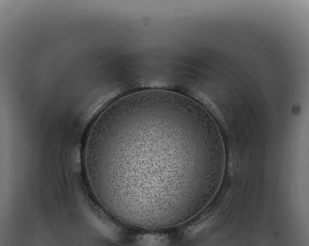 X0000089970251200707061206