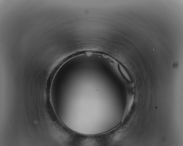 X0000089970252200707061206