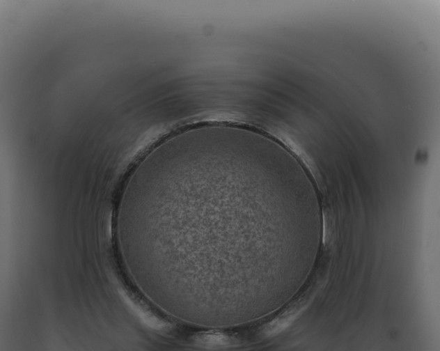 X0000089970253200707061206