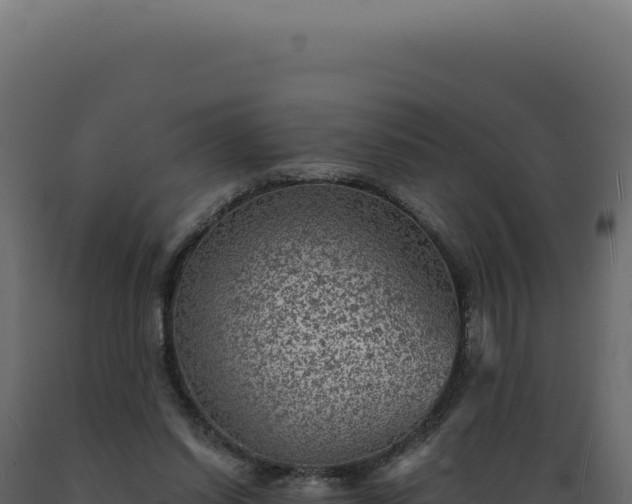 X0000089970254200707061206