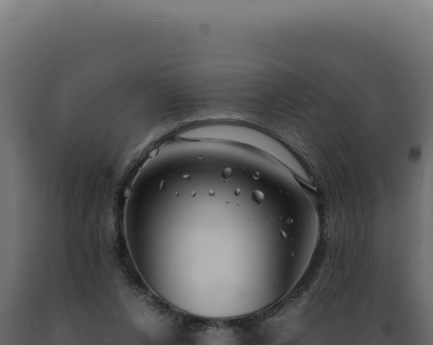 X0000089970256200707061206