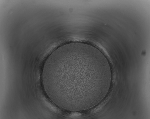 X0000089970257200707061206