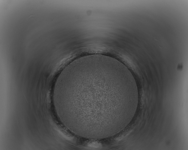 X0000089970258200707061206