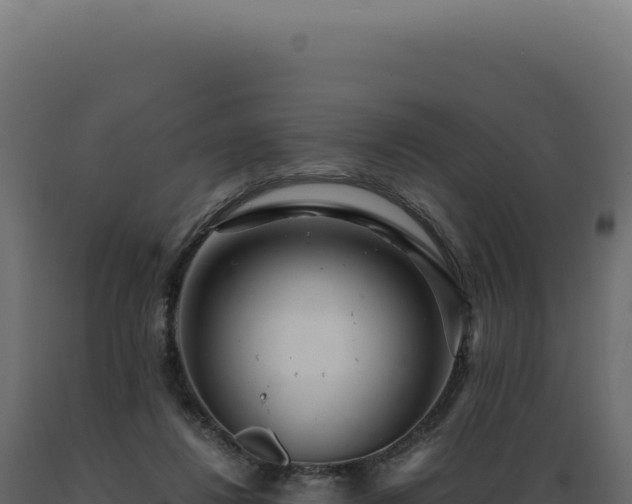 X0000089970260200707061206