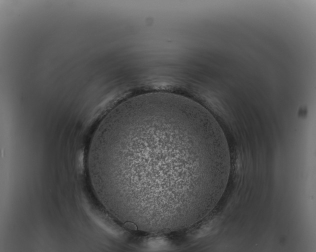 X0000089970262200707061207