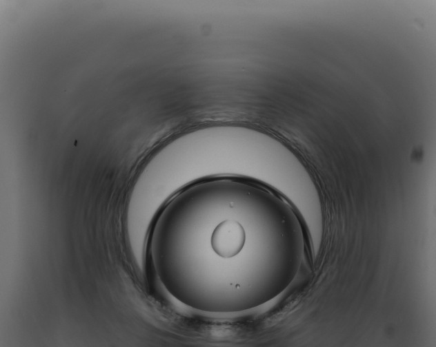 X0000089970264200707061207