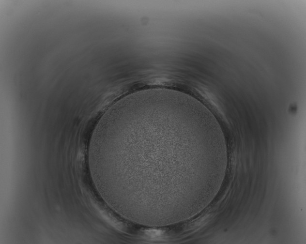 X0000089970265200707061207