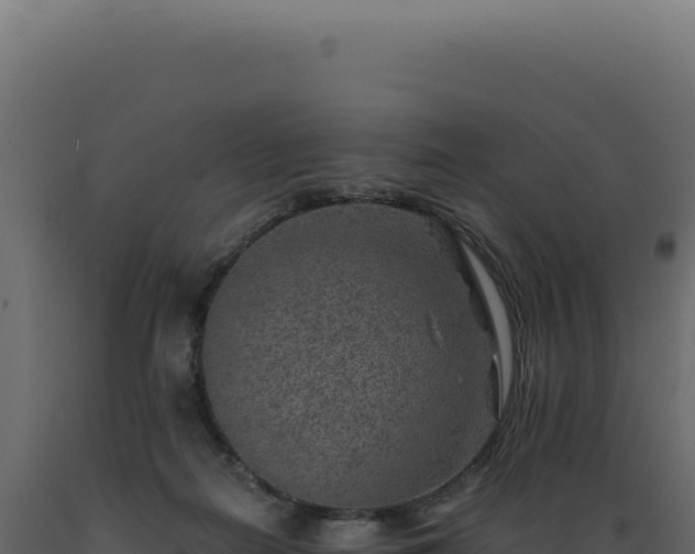 X0000089970266200707061207