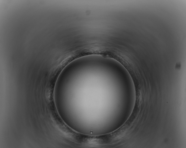 X0000089970268200707061207