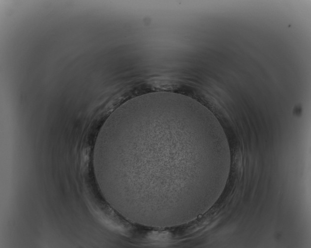 X0000089970271200707061207