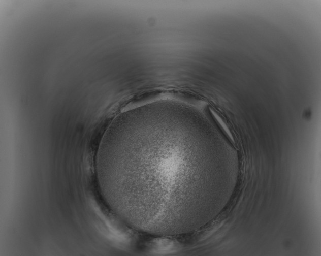 X0000089970272200707061207