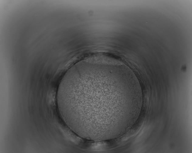 X0000089970274200707061207
