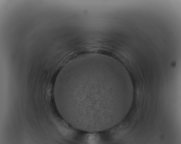 X0000089970275200707061207