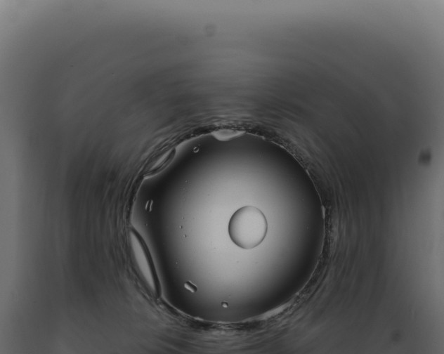 X0000089970276200707061207