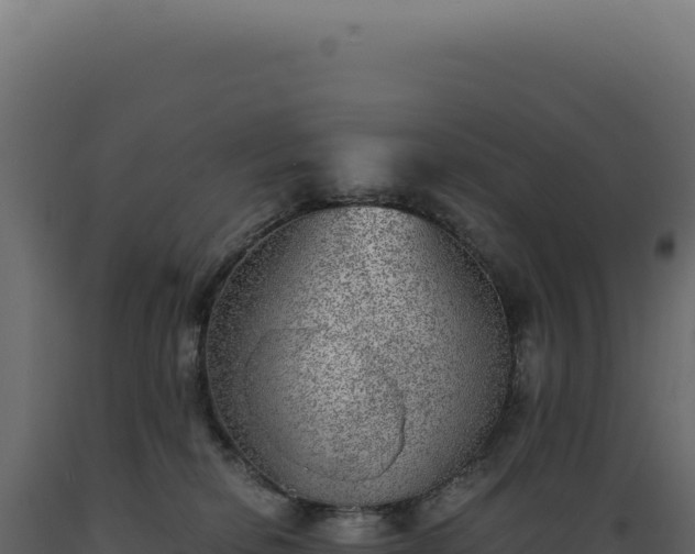X0000089970278200707061207