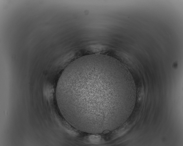 X0000089970279200707061207