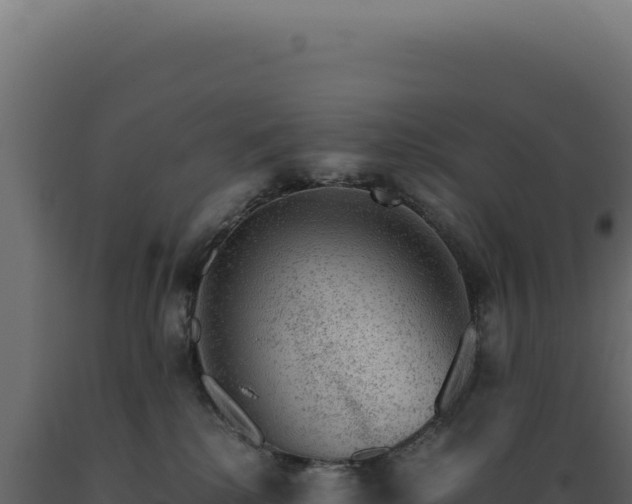 X0000089970280200707061207