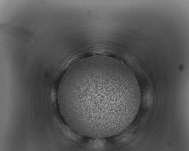 X0000089970282200707061207