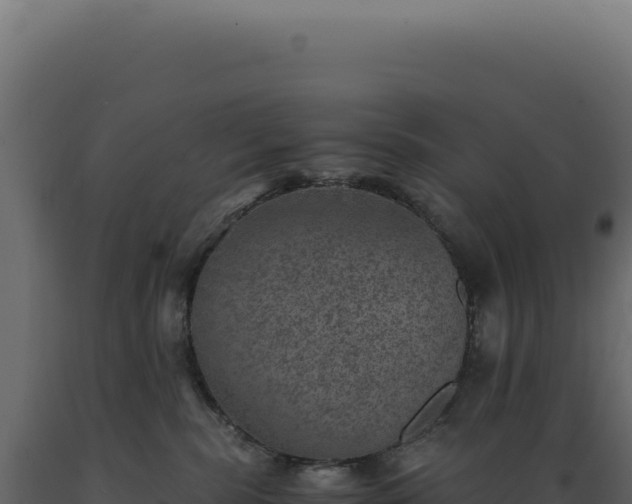 X0000089970283200707061207