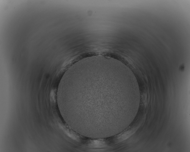 X0000089970286200707061207