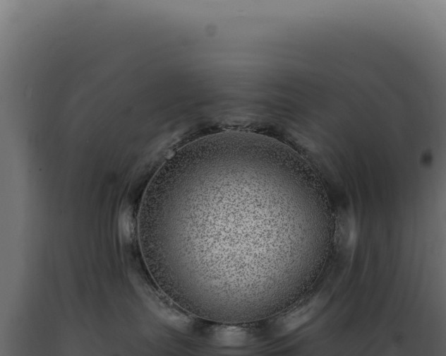 X0000089970287200707061207