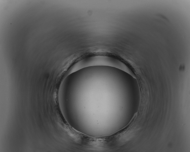 X0000089970288200707061207