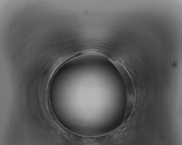 X0000089970289200707061206