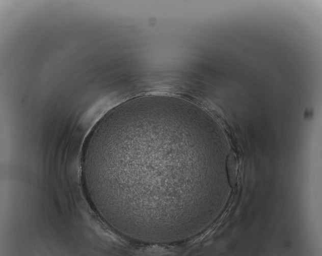 X0000089970290200707061206