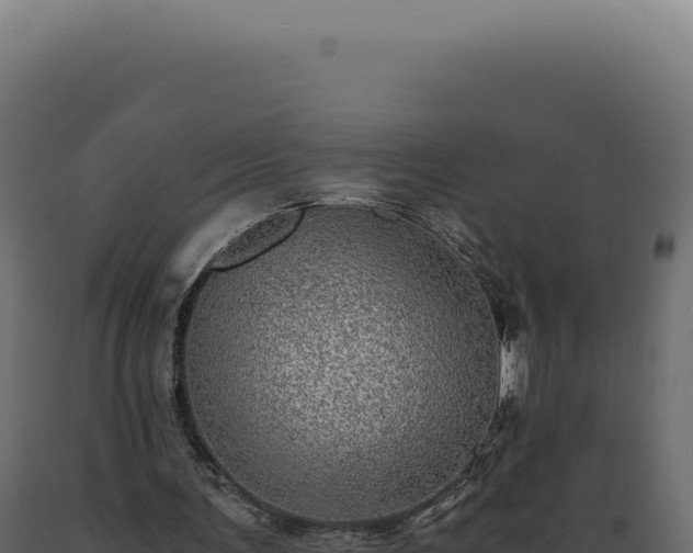 X0000089970291200707061206