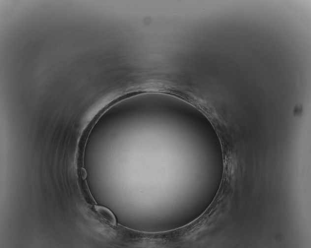 X0000089970292200707061206