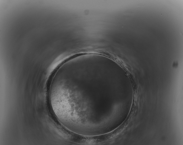 X0000089970295200707061206