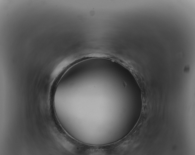 X0000089970296200707061206