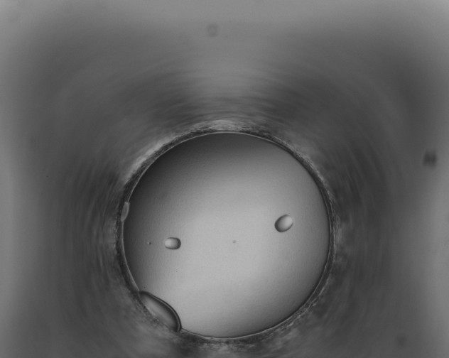 X0000089970297200707061206