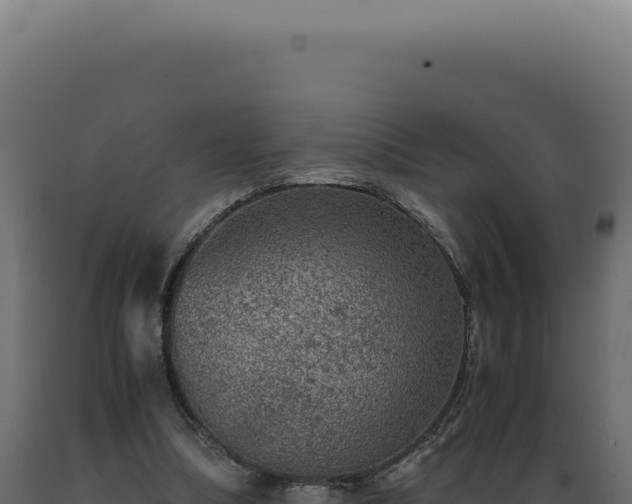 X0000089970298200707061206