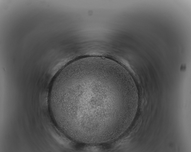 X0000089970299200707061206