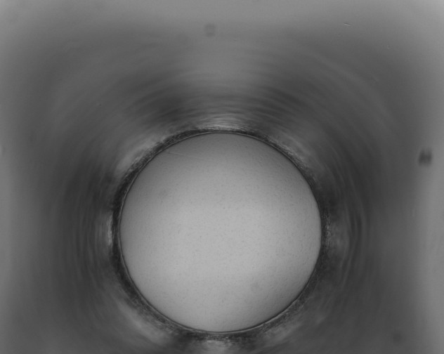 X0000089970302200707061206