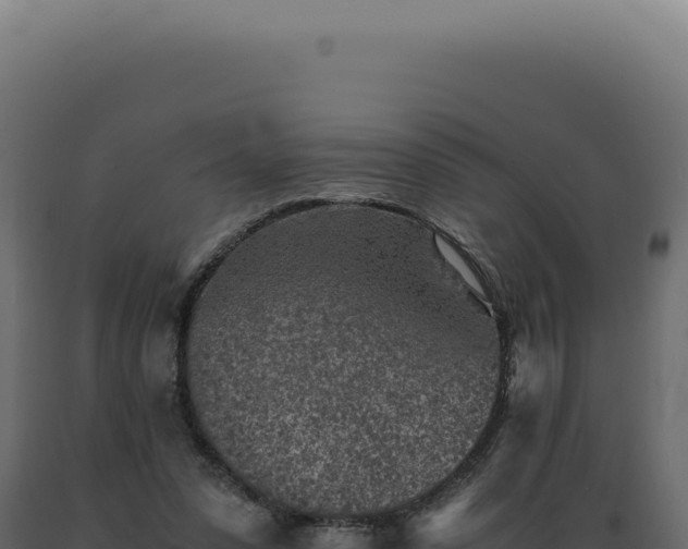 X0000089970303200707061206