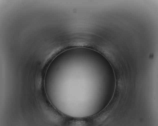 X0000089970304200707061206