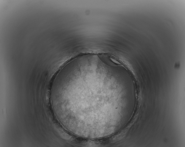 X0000089970305200707061206