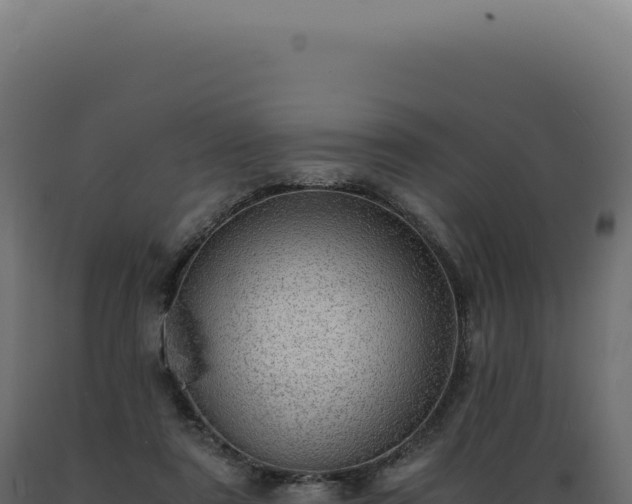 X0000089970307200707061206