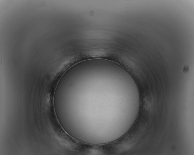 X0000089970308200707061206