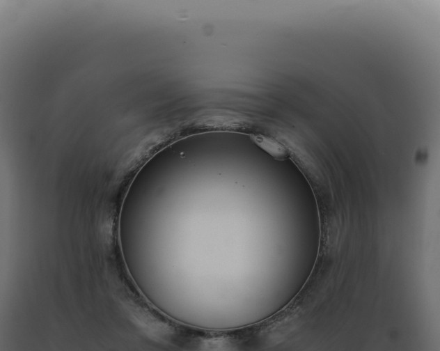 X0000089970309200707061206