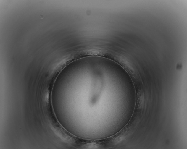 X0000089970310200707061206